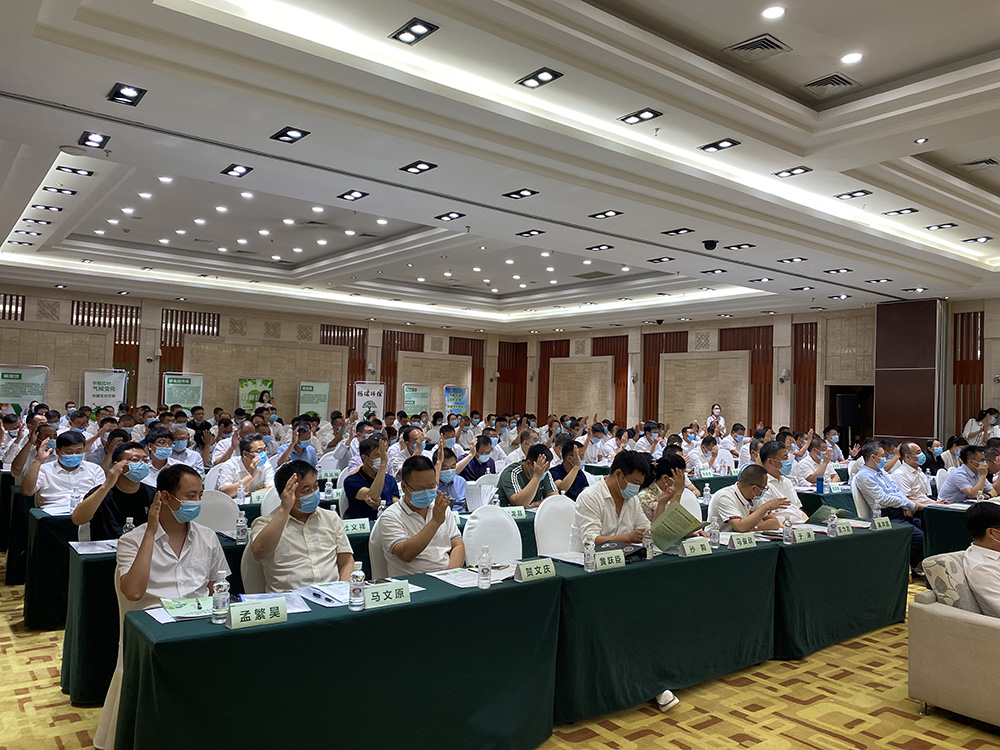 狮子会 - 打造绿色游戏娱乐