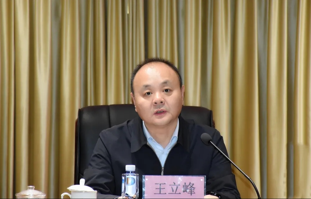 狮子会 - 打造绿色游戏娱乐